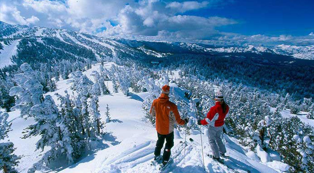 Shimla Kullu Manali Tour