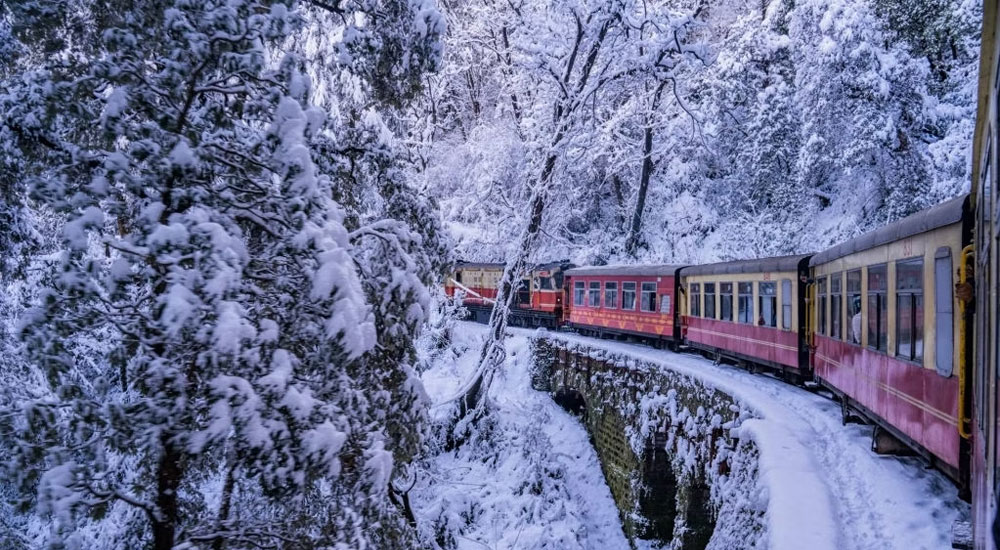 Shimla Kullu Manali Tour